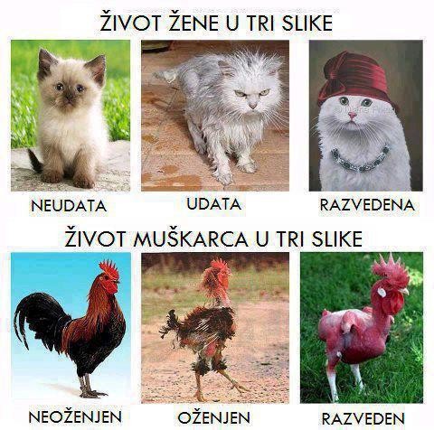 život muža a ženy v troch obrázkoch:)