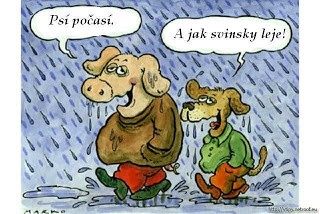 Príspevok 82646