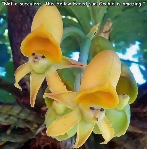 cute:)